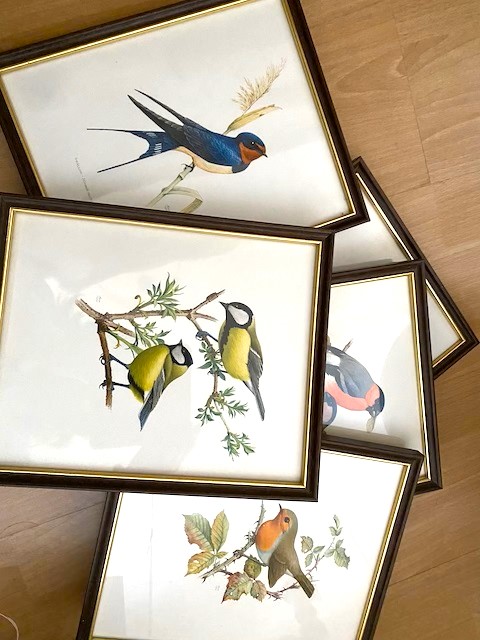 Bird Paintings Framed/23129910011